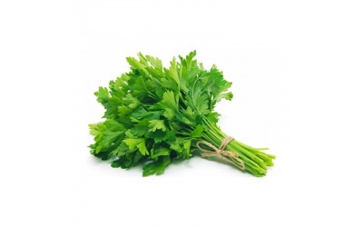 ΦΑΚΕΛΑΚΙ ΣΠΟΡΟΣ ΜΑΪΝΤΑΝΟΣ