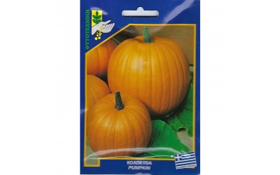 ΦΑΚΕΛΑΚΙ ΣΠΟΡΟΣ ΚΟΛΟΚΥΘΑ