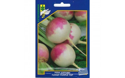 ΦΑΚΕΛΑΚΙ ΣΠΟΡΟΣ ΡΕΒΑ ΔΙΧΡΩΜΗ 