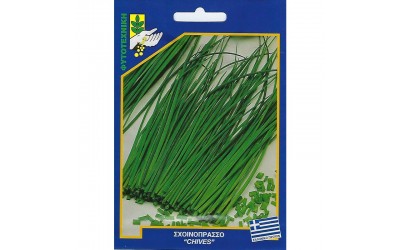 ΦΑΚΕΛΑΚΙ ΣΠΟΡΟΣ ΣΧΟΙΝΟΠΡΑΣΟ 