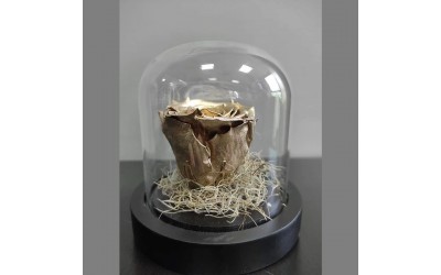 ΤΡΙΑΝΤΑΦΥΛΛΟ FOR EVER ΜΕΤΑΛΛΙΚΟ ΚΑΜΠΑΝΑ ΜΙΚΡΗ