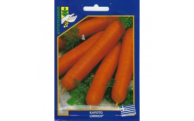 ΦΑΚΕΛΑΚΙ ΣΠΟΡΟΣ ΚΑΡΟΤΟ