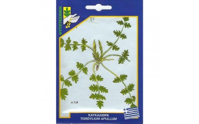 ΦΑΚΕΛΑΚΙ ΣΠΟΡΟΣ ΚΑΥΚΑΛΙΘΡΑ