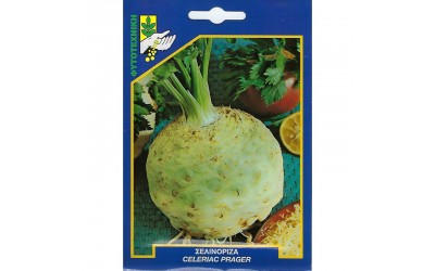 ΦΑΚΕΛΑΚΙ ΣΠΟΡΟΣ ΣΕΛΙΝΟΡΙΖΑ