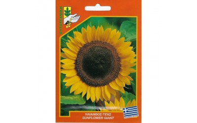 ΦΑΚΕΛΑΚΙ ΣΠΟΡΟΣ ΗΛΙΑΝΘΟΣ ΓΙΓΑΣ