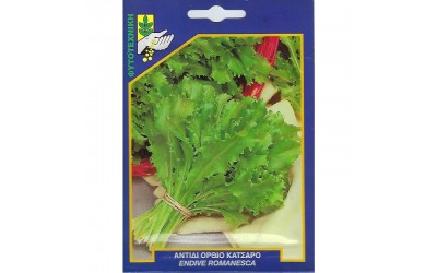 ΦΑΚΕΛΑΚΙ ΣΠΟΡΟΣ ΑΝΤΙΔΙ ΟΡΘΙΟ ΚΑΤΣΑΡΟ