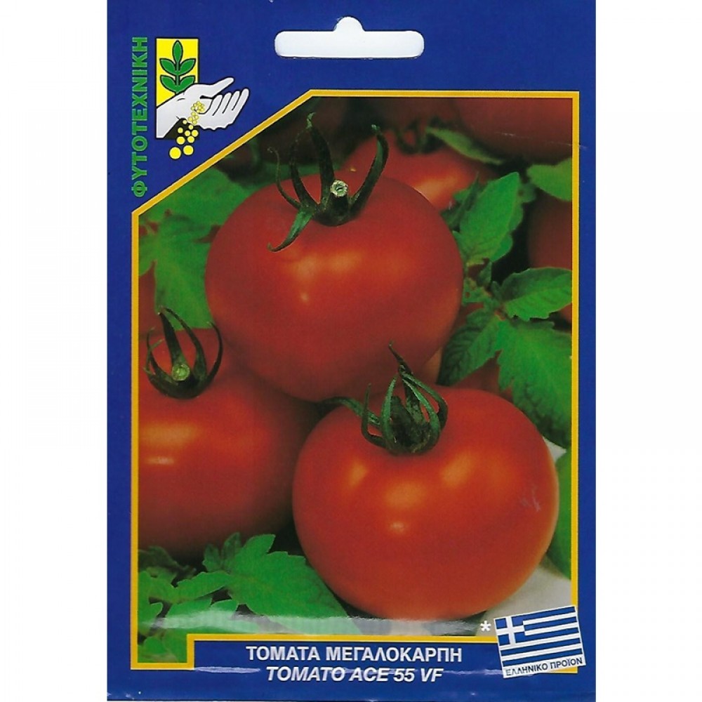 ΦΑΚΕΛΑΚΙ ΣΠΟΡΟΣ ΤΟΜΑΤΑ ΜΕΓΑΛΟΚΑΡΠΗ BEEF TOMATO