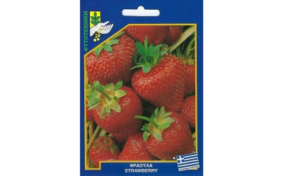 ΦΑΚΕΛΑΚΙ ΣΠΟΡΟΣ ΦΡΑΟΥΛΑ