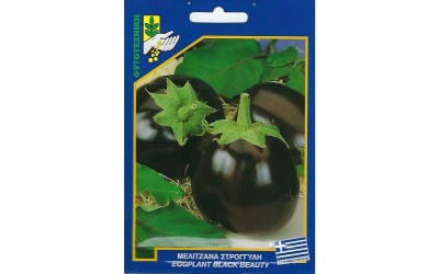 ΦΑΚΕΛΑΚΙ ΣΠΟΡΟΣ ΜΕΛΙΤΖΑΝΑ ΣΤΡΟΓΓΥΛΗ