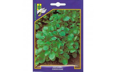 ΦΑΚΕΛΑΚΙ ΣΠΟΡΟΣ ΚΑΡΔΑΜΟ