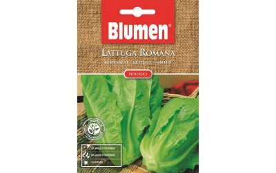 ΣΠΟΡΟΣ ΜΑΡΟΥΛΙ ROMANA 5gr ΣΠΟΡΟΣ ΜΑΡΟΥΛΙ ROMANA 5gr