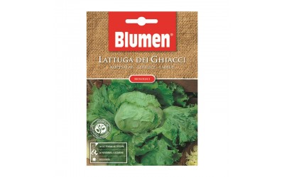 ΒΙΟΛΟΓΙΚΟΣ ΣΠΟΡΟΣ ICEBERG DEI GHIACCI 5gr