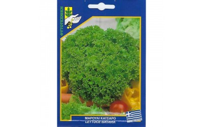 ΦΑΚΕΛΑΚΙ ΣΠΟΡΟΣ ΜΑΡΟΥΛΙ ΚΑΤΣΑΡΟ