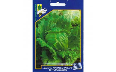 ΦΑΚΕΛΑΚΙ ΣΠΟΡΟΣ ΜΑΡΟΥΛΙ ΚΑΤΣΑΡΟ ΚΕΦΑΛΩΤΟ