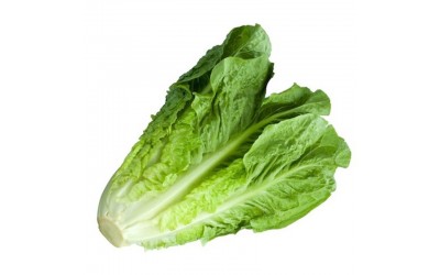 ΦΑΚΕΛΑΚΙ ΣΠΟΡΟΣ ΜΑΡΟΥΛΙ ROMANA