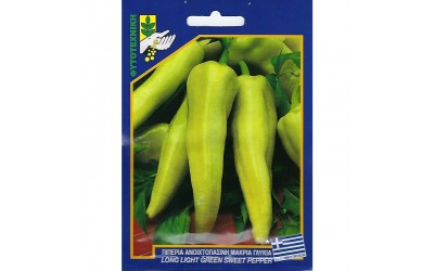 ΦΑΚΕΛΑΚΙ ΣΠΟΡΟΣ ΠΙΠΕΡΙΑ ΠΡΑΣΙΝΗ ΜΑΚΡΥΑ