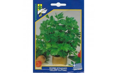 ΦΑΚΕΛΑΚΙ ΣΠΟΡΟΣ ΣΕΛΙΝΟ ΦΥΛΛΩΔΕΣ