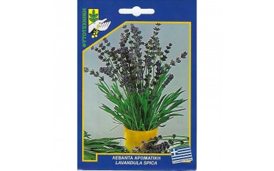 ΦΑΚΕΛΑΚΙ ΣΠΟΡΟΣ ΛΕΒΑΝΤΑ ΑΡΩΜΑΤΙΚΗ