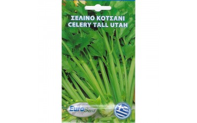 ΦΑΚΕΛΑΚΙ ΣΠΟΡΟΣ ΣΕΛΙΝΟ ΚΟΤΣΑΝΙ 