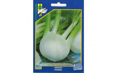 ΦΑΚΕΛΑΚΙ ΣΠΟΡΟΣ ΦΟΙΝΟΚΙΟ