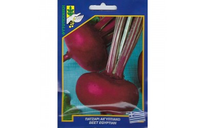 ΦΑΚΕΛΑΚΙ ΣΠΟΡΟΣ ΠΑΝΤΖΑΡΙ ΑΙΓΥΠΤΙΑΚΟ