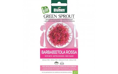 ΣΠΟΡΟΣ ΓΙΑ ΦΥΤΡΕΣ ΠΑΝΤΖΑΡΙΟΥ - Barbabietola Rossa 18gr ΣΠΟΡΟΣ ΓΙΑ ΦΥΤΡΕΣ ΠΑΝΤΖΑΡΙΟΥ - Barbabietola Rossa 18gr