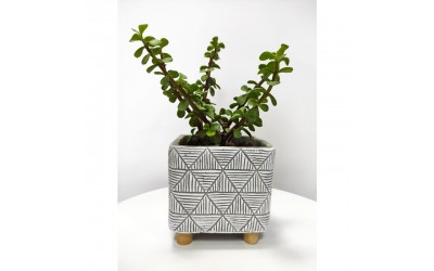 ΚΑΣΠΩ ΤΣΙΜΕΝΤΕΝΙΟ ΚΥΒΟΣ ΕΤΝΟ EQUAL 14x15