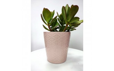 ΚΑΣΠΩ ΚΕΡΑΜΙΚΟ PASTEL DOT 13x14