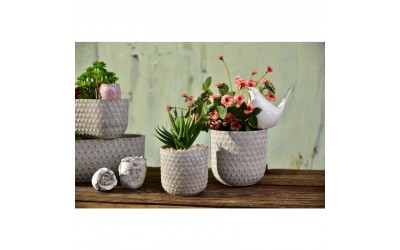 ΚΑΣΠΩ ΤΣΙΜΕΝΤΕΝΙΟ ASTEROID 13x13