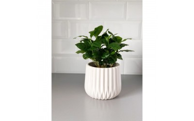 ΚΑΣΠΩ ΚΕΡΑΜΙΚΟ BARCELONA 16x13