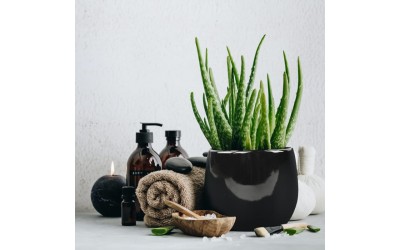 ΚΑΣΠΩ ΚΕΡΑΜΙΚΟ PIANO 15x13 ΜΑΥΡΟ