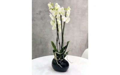 ΚΑΣΠΩ ΚΕΡΑΜΙΚΟ PIANO 22x17 ΜΑΥΡΟ