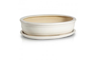 ΚΕΡΑΜΙΚΗ ΓΛΑΣΤΡΑ ΜΠΟΝΣΑΙ 25x18 ΛΕΥΚΟ