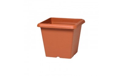 ΓΛΑΣΤΡΑ ΤΕΤΡΑΓΩΝΗ TERRAE 20