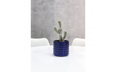 ΚΕΡΑΜΙΚΟ ΚΥΛΙΝΔΡΙΚΟ BARCELONA BLUE 12 X13