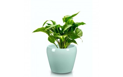 ΚΑΣΠΩ ΚΕΡΑΜΙΚΟ BARCELONA 17x14 ΒΕΡΑΜΑΝ