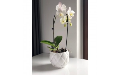 ΚΕΡΑΜΙΚΟ ΚΑΣΠΩ ΣΦΑΙΡΙΚΟ GLAMOUR 16x13cm ΛΕΥΚΟ