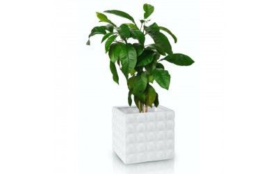 ΚΑΣΠΩ ΚΕΡΑΜΙΚΟΣ ΚΥΒΟΣ PIANO 14x13 ΛΕΥΚΟ